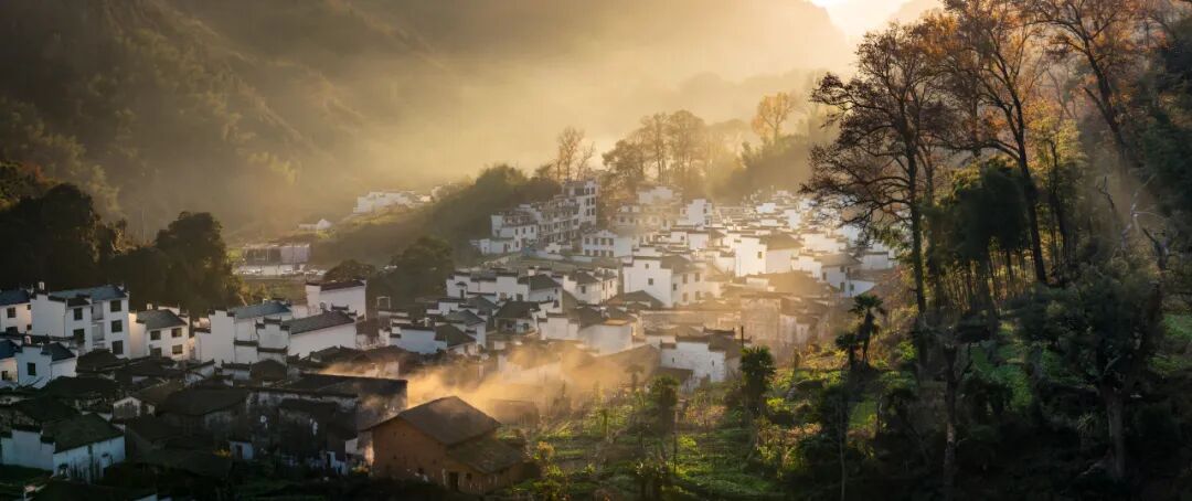 4月春假旅行榜｜挖到被低估的小城，春色比扬州更撩，钻进紫蓝色花海被治愈！