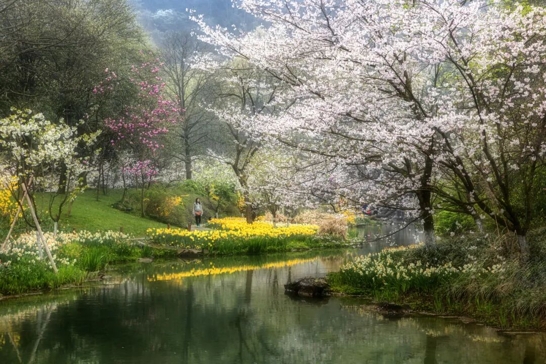 3月最佳旅行地 | 7元嗦粉、5元坐船、0元看花海，中国有的是好看又好吃的地方！
