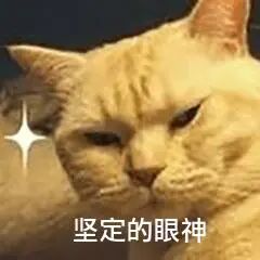 电脑磁盘的分区_电脑磁盘怎么分类最好_电脑磁盘如何重新分盘