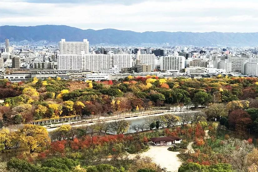 日本红叶季景观建筑设计考察 亲临23位大师作品 景观之路 微信公众号文章阅读 Wemp