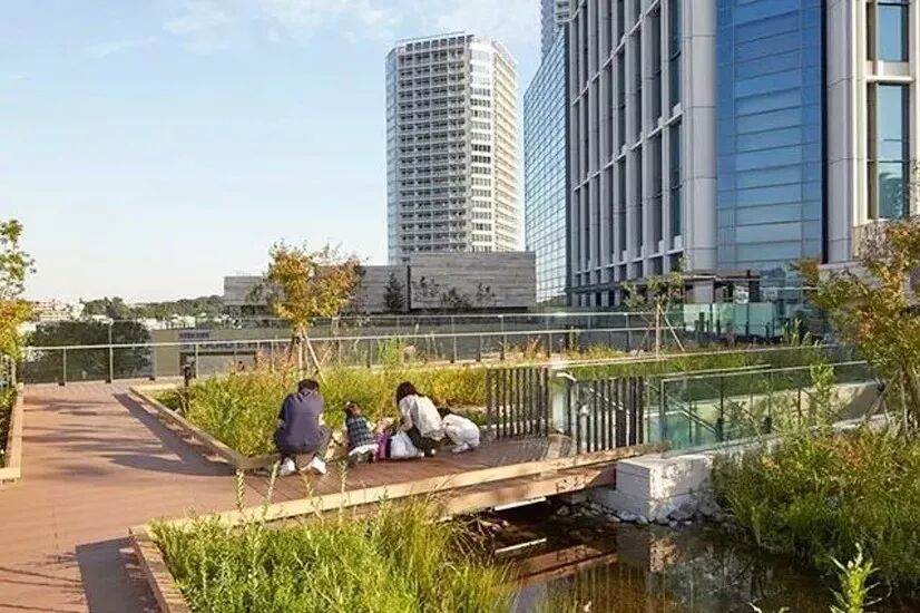 日本红叶季景观建筑设计考察 亲临23位大师作品 景观之路 微信公众号文章阅读 Wemp