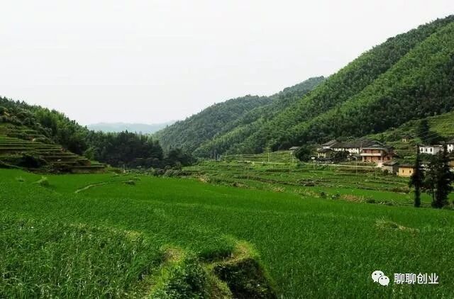 年轻女性创业项目_农村年轻人创业项目有哪些_适合年轻人的创业项目