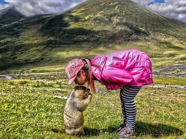 米熊和金丝熊那个温顺_金丝熊和虎纹熊交配_金丝熊身上有大量病毒