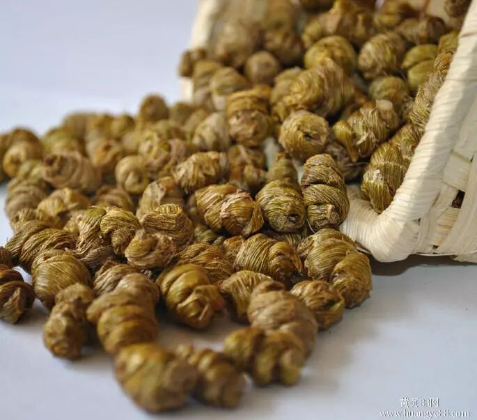 喜迎元旦快乐行·健康金礼大放送·快来参与吧