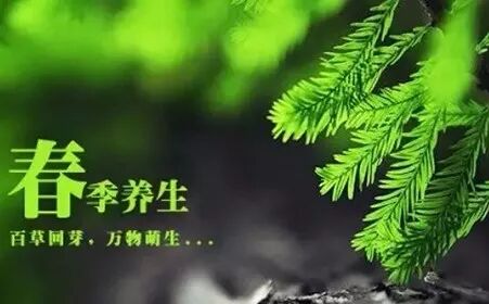 武邵：春季这样养生，远离疾病和疼痛