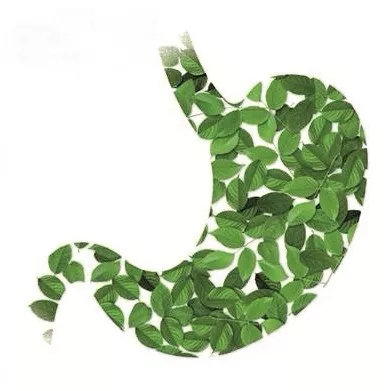 赵燕俐:古医汤液派治疗慢性胃病收效更佳