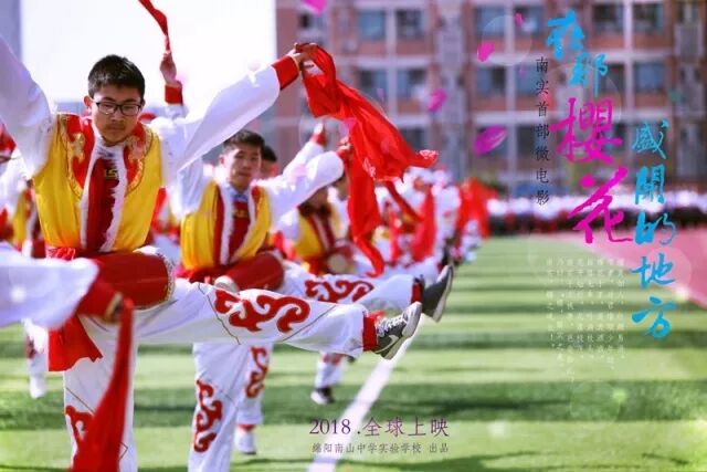 不一样的南实——绵阳南山中学实验学校简介