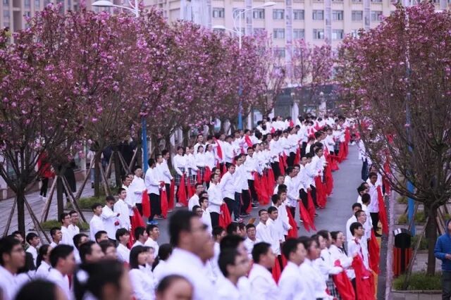 不一样的南实——绵阳南山中学实验学校简介