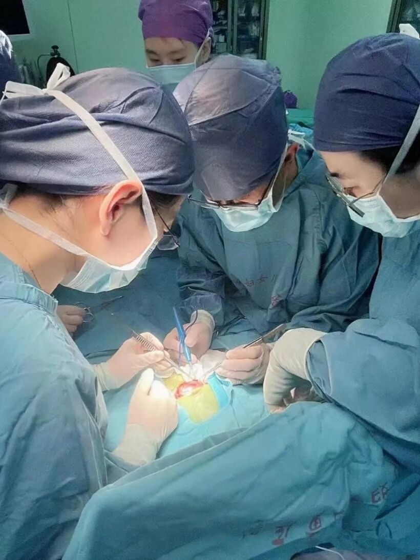 胎儿时患上儿童肿瘤之王2小时精心手术新生儿终获救