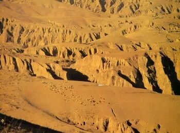 黄土塬、信天游和乡土精神的繁殖与生长——以高凯等的创作为例兼谈陇东诗群崛起履历（简纲）