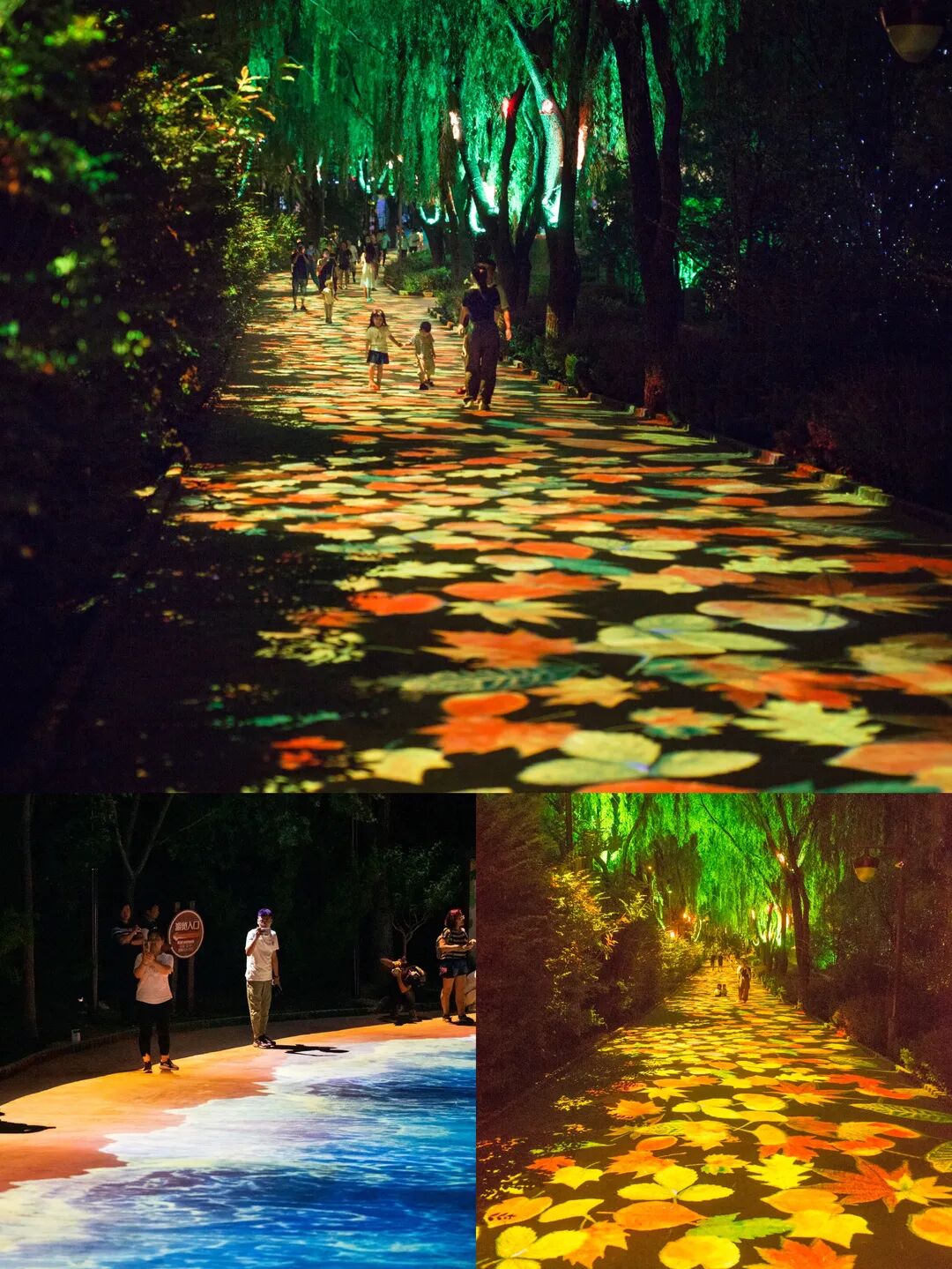 499元开启光影森林音乐美食party