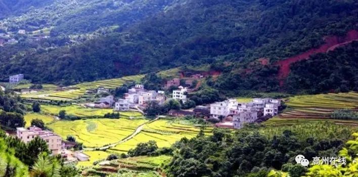 登录查看大图
