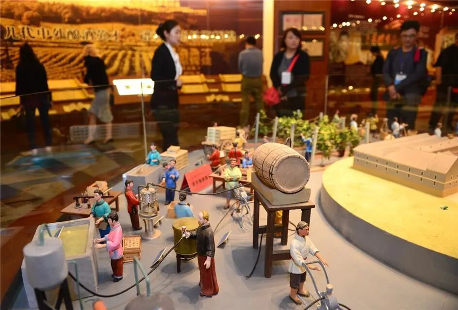 烟台、维也纳、新加坡的奇妙共同点，竟然是这个