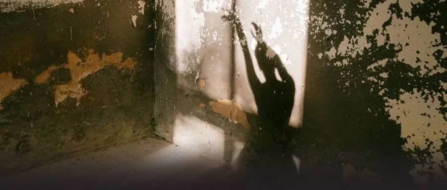 郑爽上传不雅照：这是疯了吗？