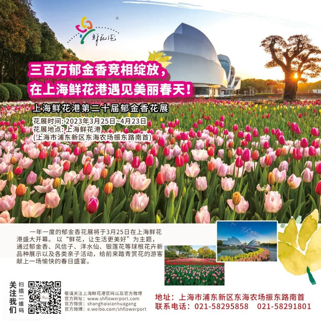 红蜡片怎么使用说说网红礼物——蜡封朱顶红 ｜ “花·礼”专题_https://www.jmylbn.com_新闻资讯_第14张