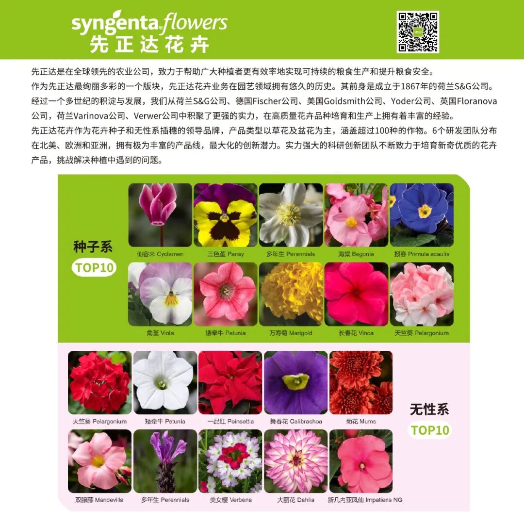 怎么介绍ipm10陈凤翔：10年回眸IPM埃森国际花展有感 ｜ 动态_https://www.jmylbn.com_新闻资讯_第14张
