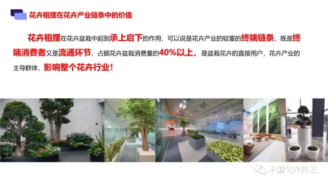 最新全国盆栽数据来了！多品类或迎拐点 | 2020全国花卉产销分析会