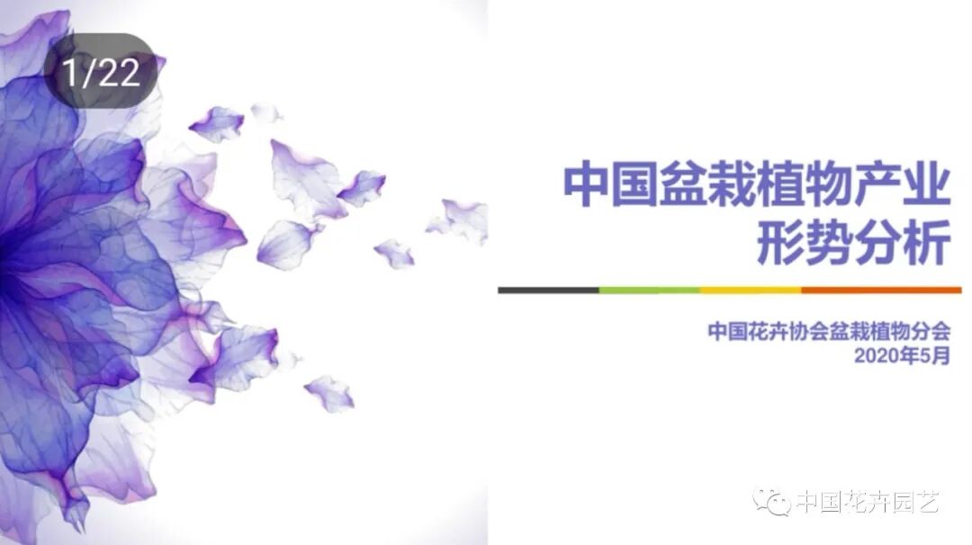 最新全国盆栽数据来了！多品类或迎拐点 | 2020全国花卉产销分析会