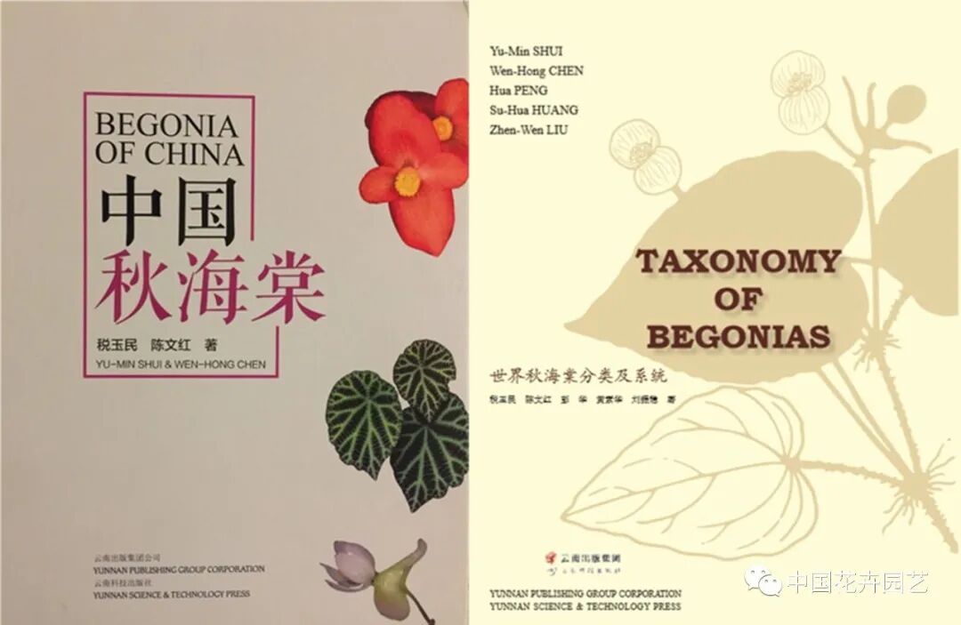 中植协秋海棠专委会成立 “棠迷”们有家了