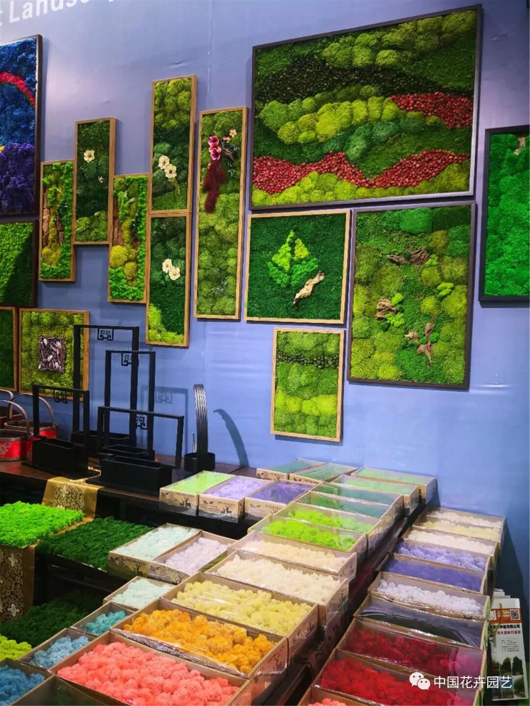 北京国际花展上的精彩看点 | 动态