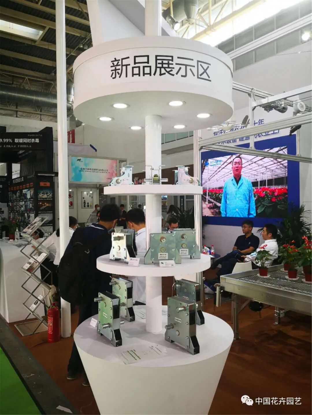 北京国际花展上的精彩看点 | 动态