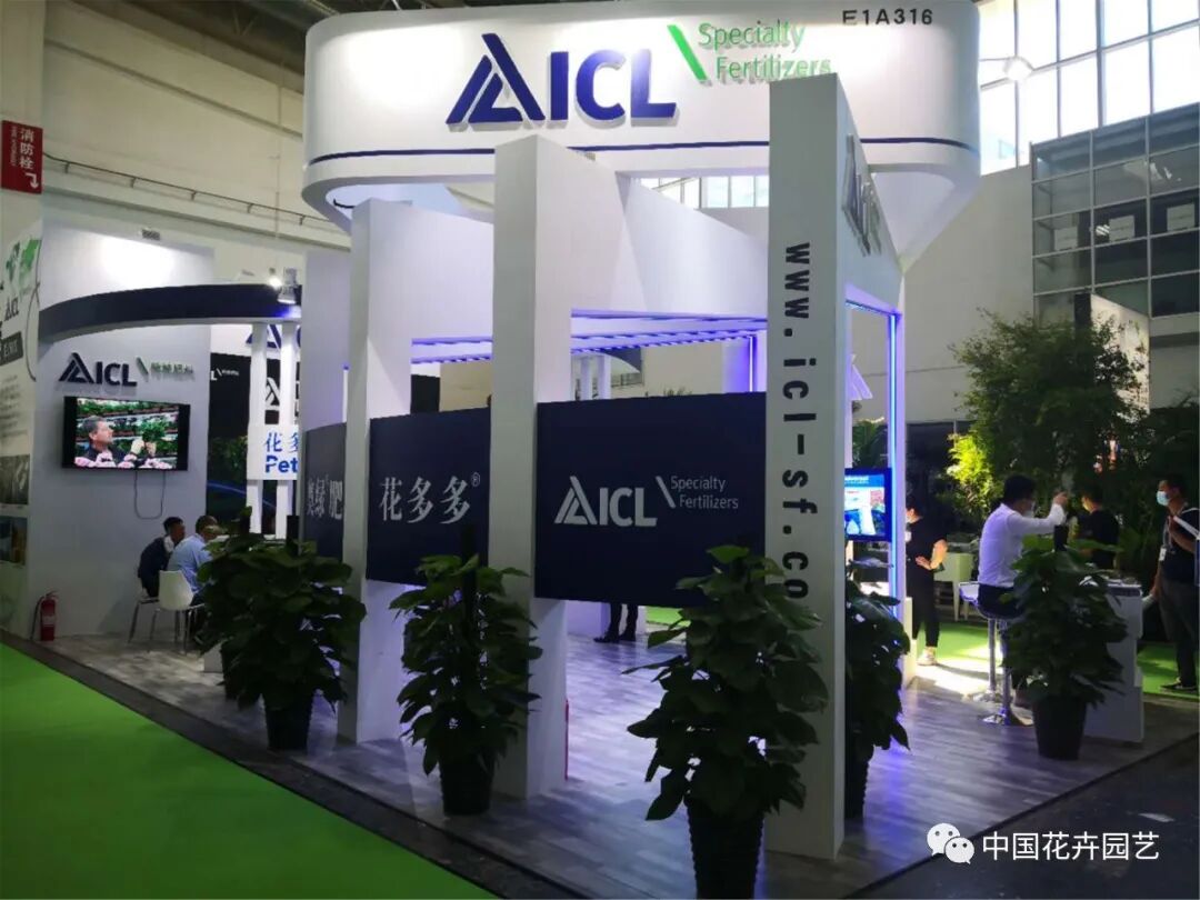 北京国际花展上的精彩看点 | 动态