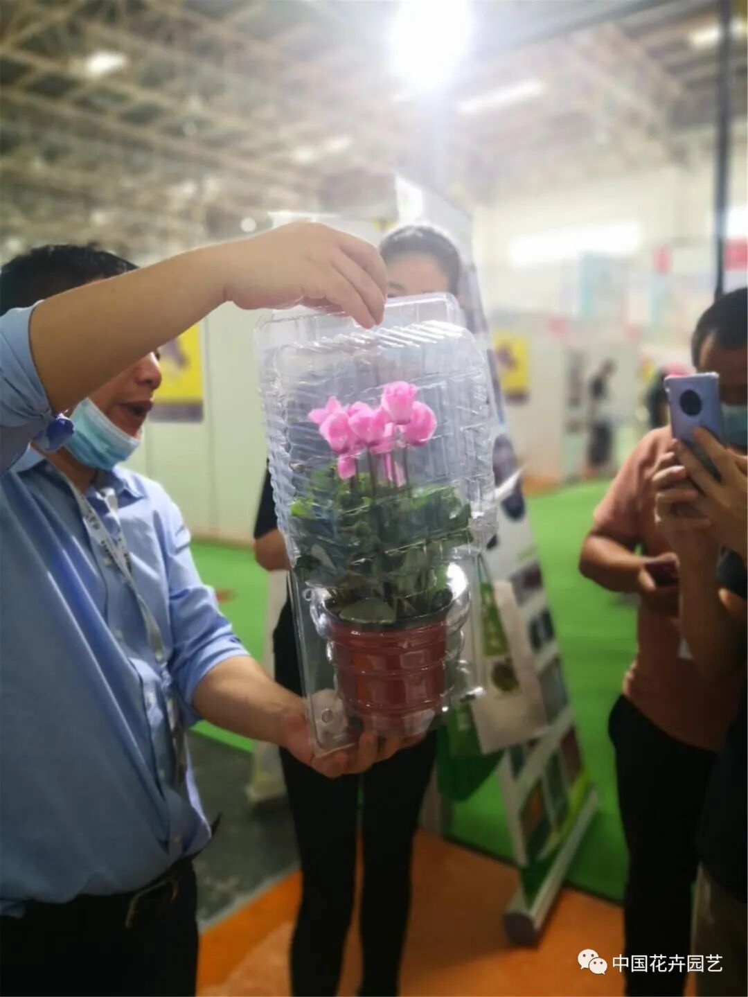 北京国际花展上的精彩看点 | 动态