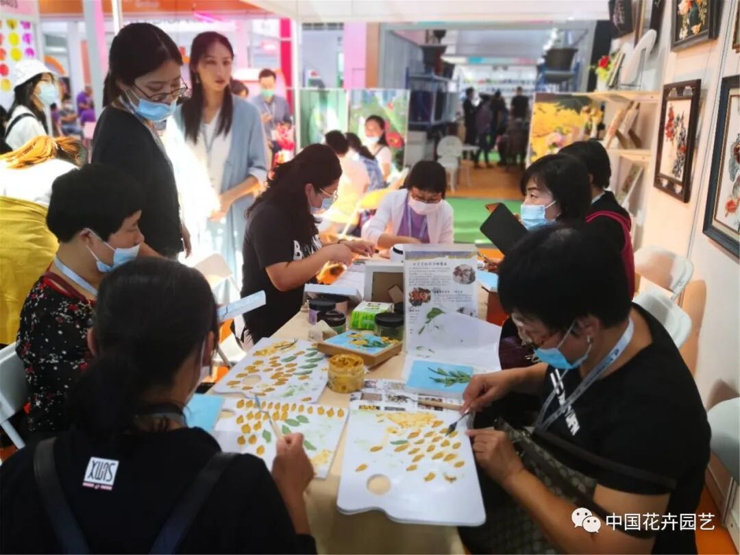 北京国际花展上的精彩看点 | 动态