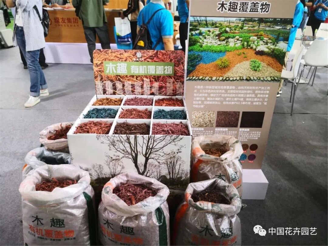 北京国际花展上的精彩看点 | 动态