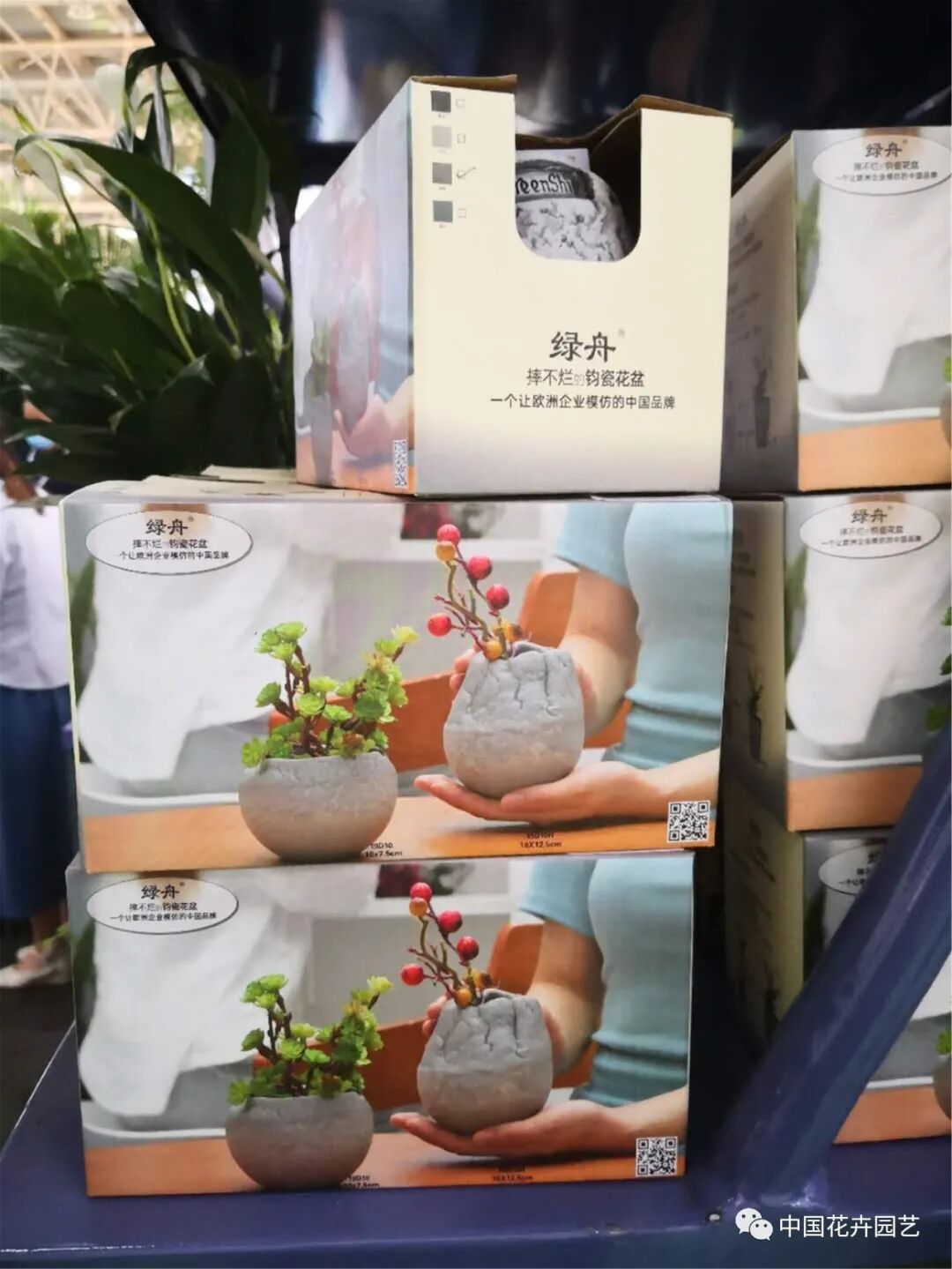 北京国际花展上的精彩看点 | 动态