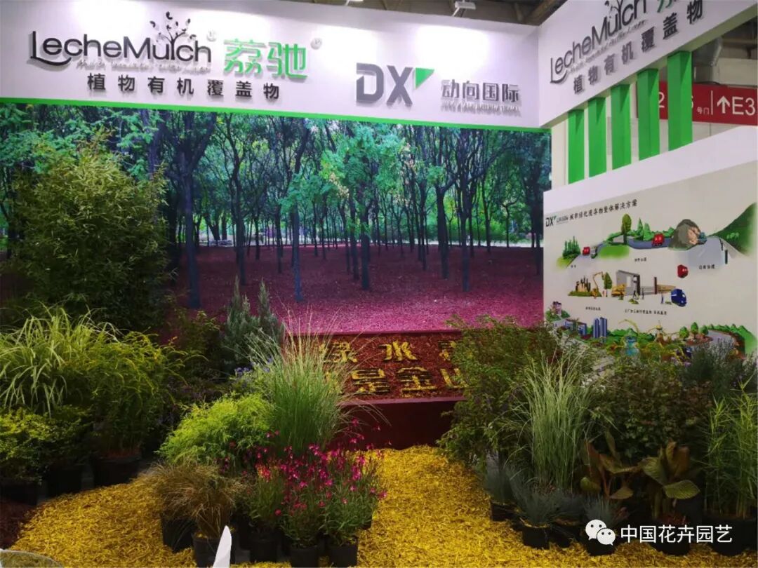 北京国际花展上的精彩看点 | 动态