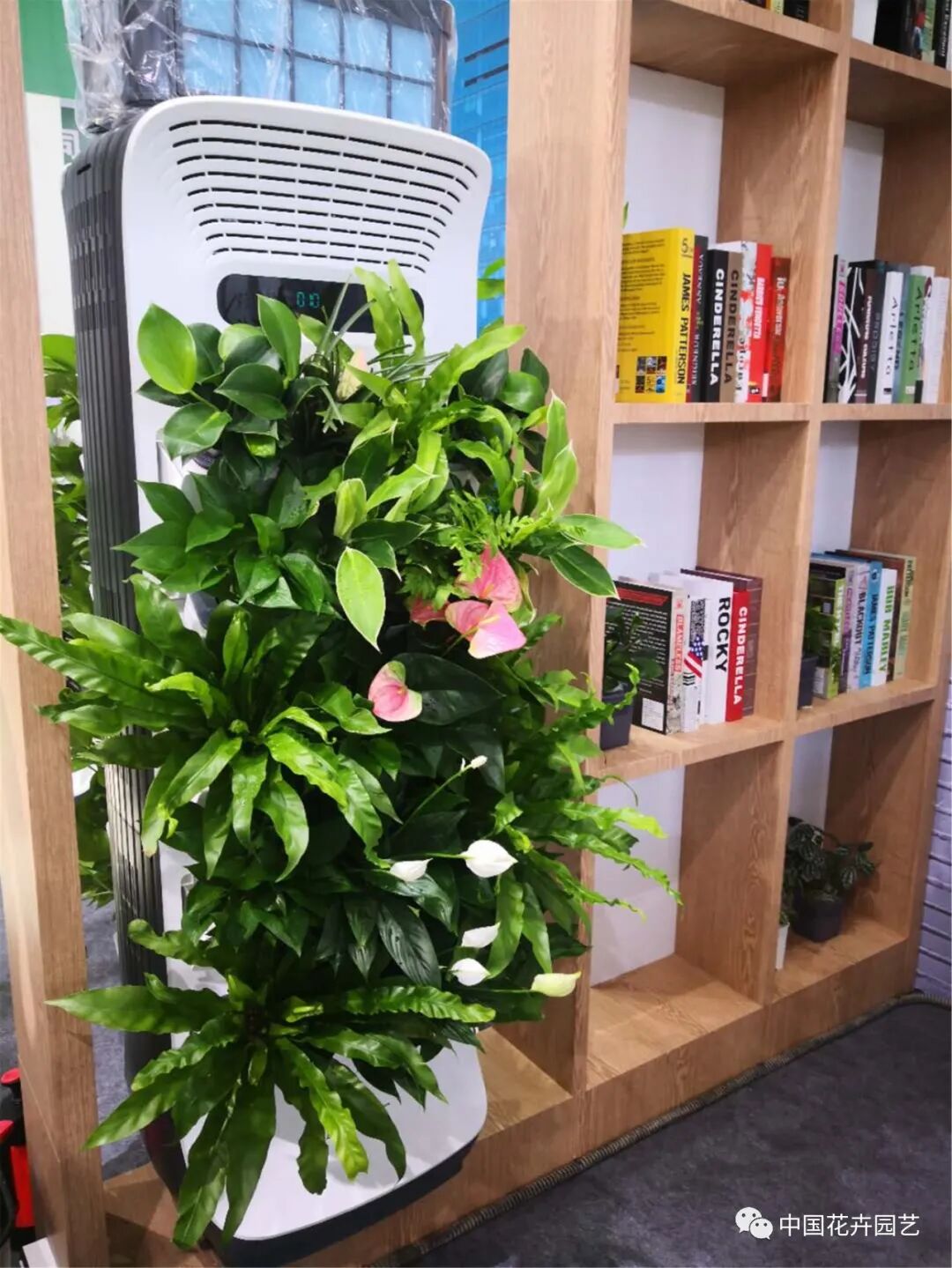 北京国际花展上的精彩看点 | 动态