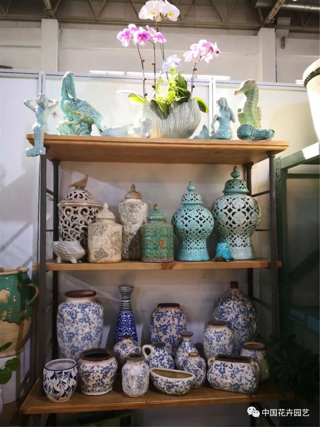 北京国际花展上的精彩看点 | 动态