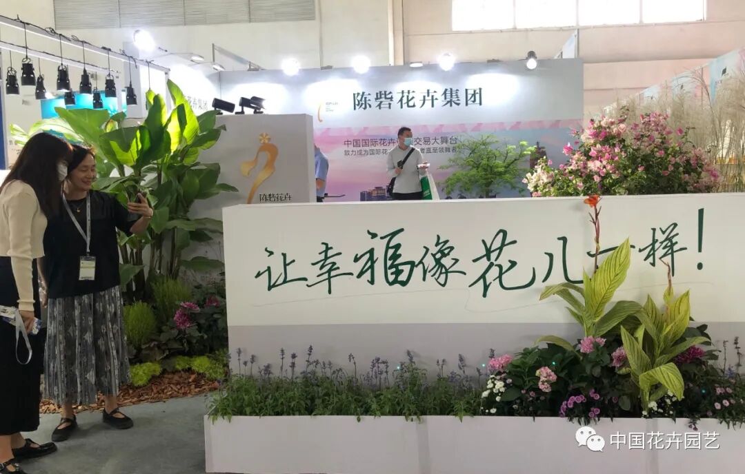 北京国际花展上的精彩看点 | 动态