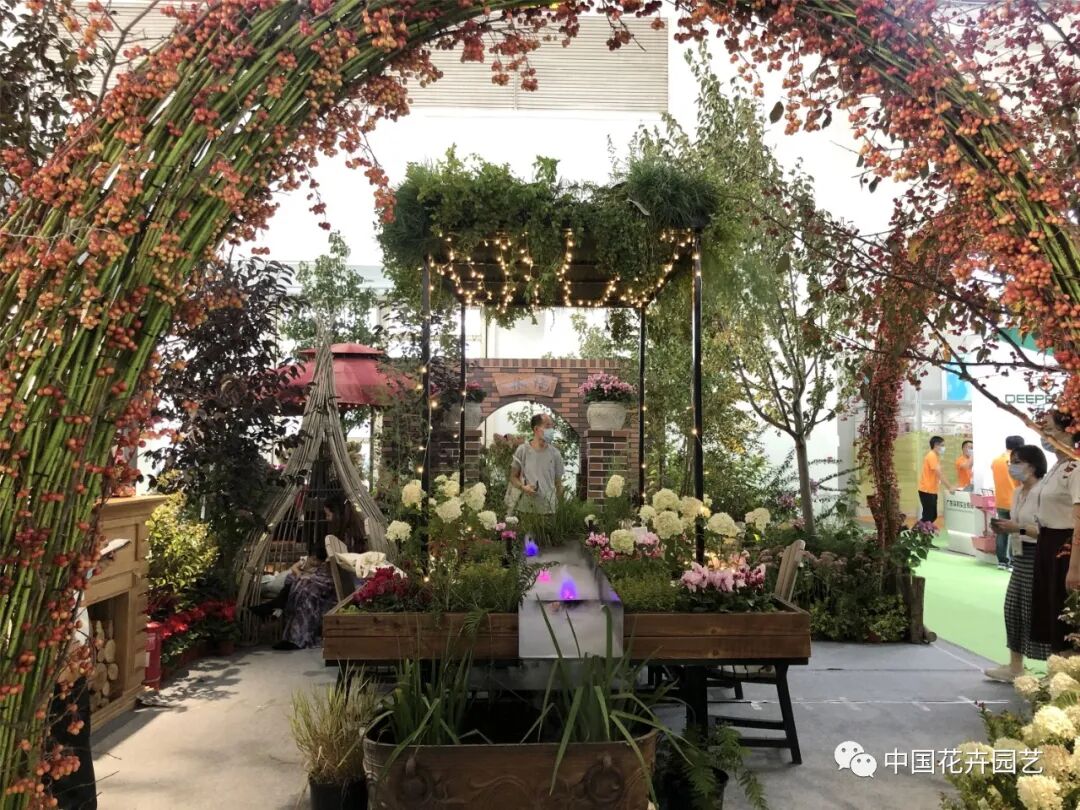 北京国际花展上的精彩看点 | 动态
