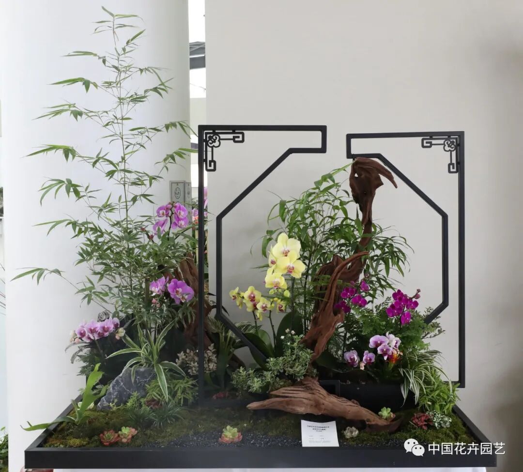 第十届花博会 | 花开盛世 福泽华夏——盆栽花卉专题展