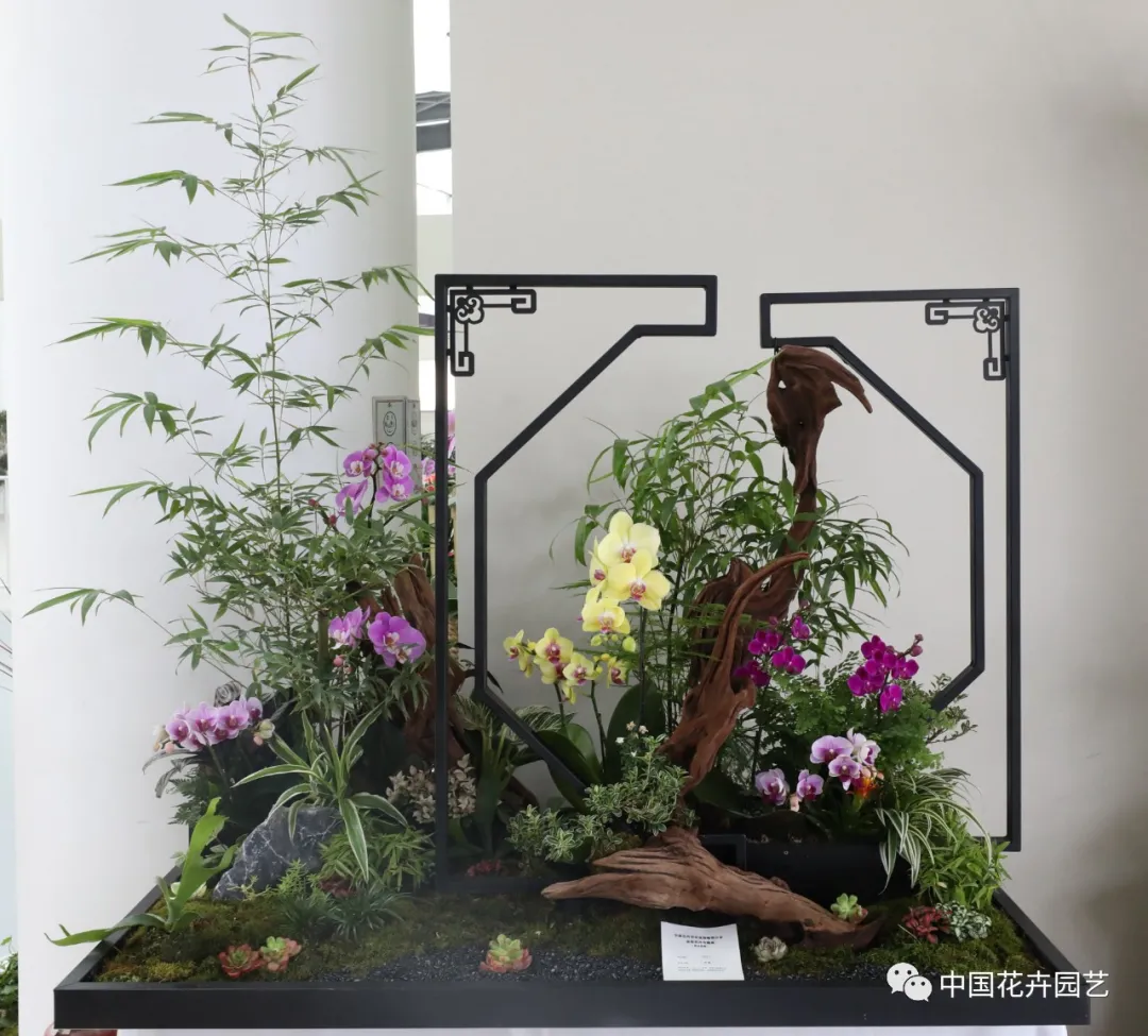 第十屆花博會 | 花開盛世 福澤華夏——盆栽花卉專題展 第十屆花博會 | 花開盛世 福澤華夏——盆栽花卉專題展
