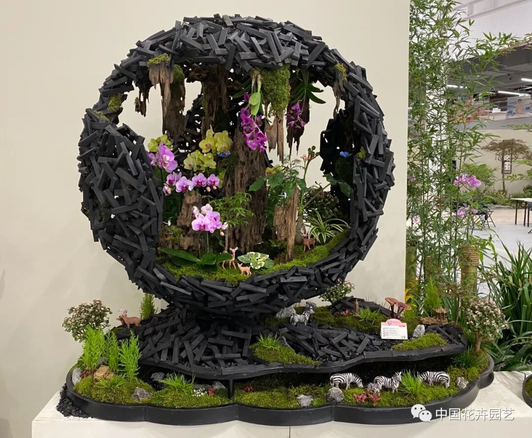 第十届花博会 | 花开盛世 福泽华夏——盆栽花卉专题展