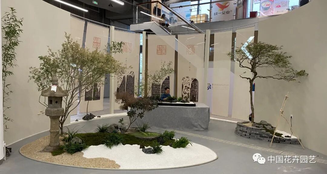 第十届花博会 | 花开盛世 福泽华夏——盆栽花卉专题展