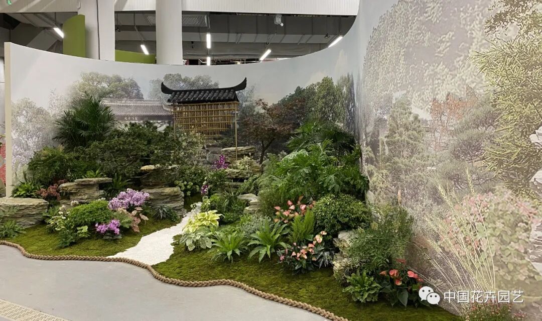 第十届花博会 | 花开盛世 福泽华夏——盆栽花卉专题展