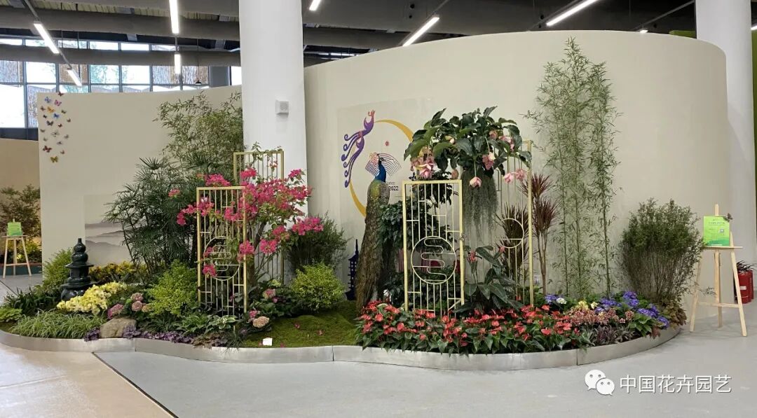 第十届花博会 | 花开盛世 福泽华夏——盆栽花卉专题展