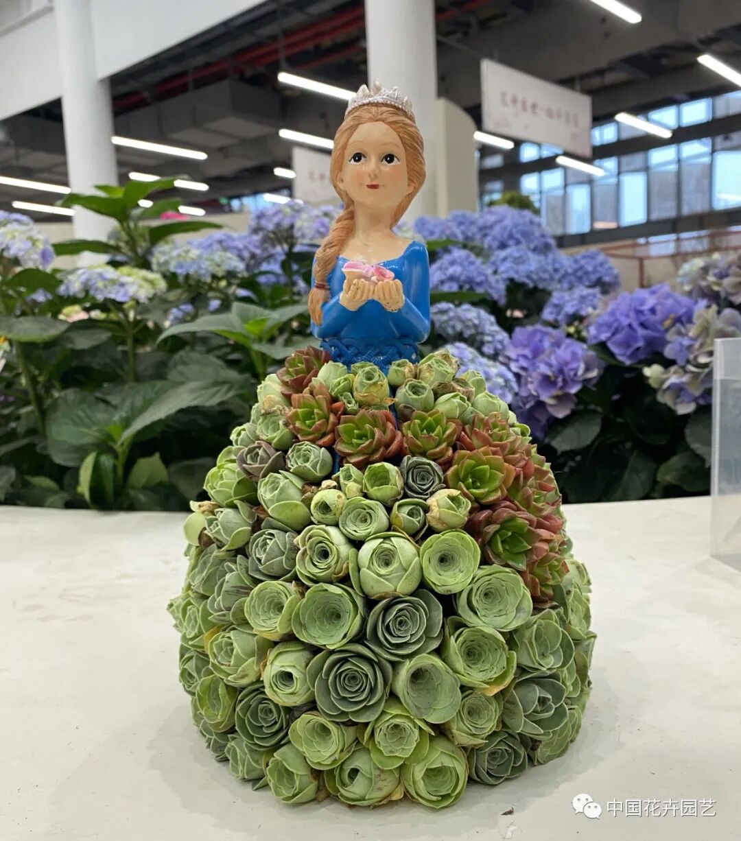 第十届花博会 | 花开盛世 福泽华夏——盆栽花卉专题展