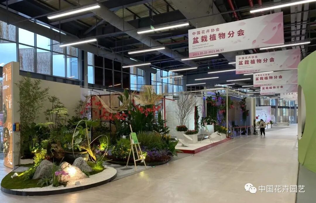 第十届花博会 | 花开盛世 福泽华夏——盆栽花卉专题展