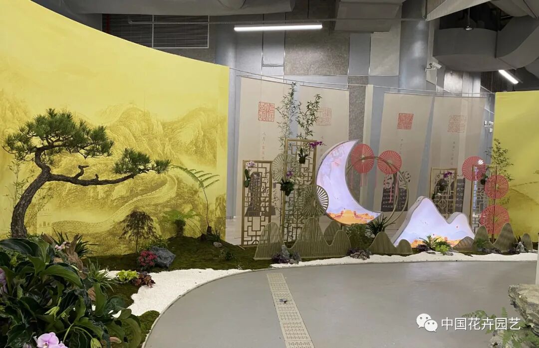 第十届花博会 | 花开盛世 福泽华夏——盆栽花卉专题展