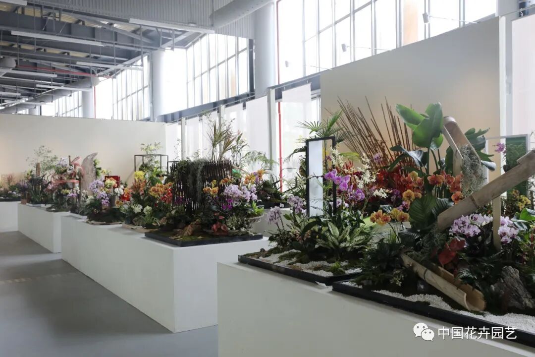 第十届花博会 | 花开盛世 福泽华夏——盆栽花卉专题展