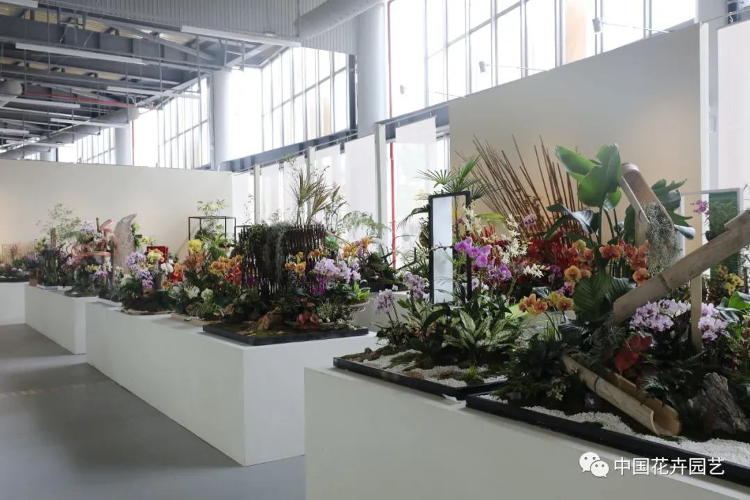 第十屆花博會 | 花開盛世 福澤華夏——盆栽花卉專題展 第十屆花博會 | 花開盛世 福澤華夏——盆栽花卉專題展