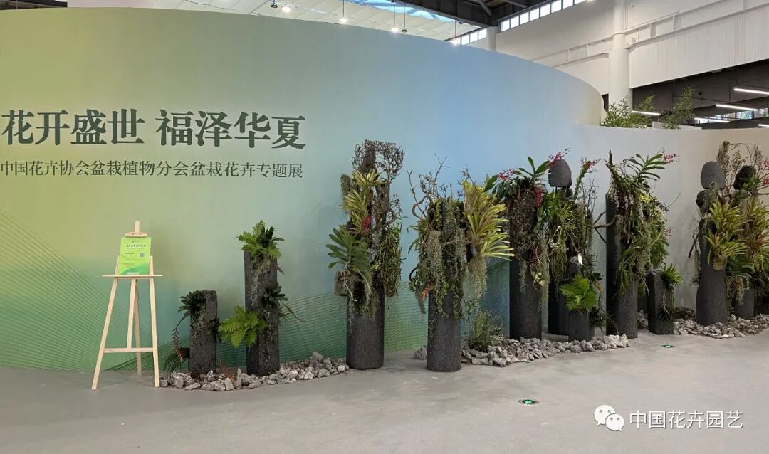 第十届花博会 | 花开盛世 福泽华夏——盆栽花卉专题展