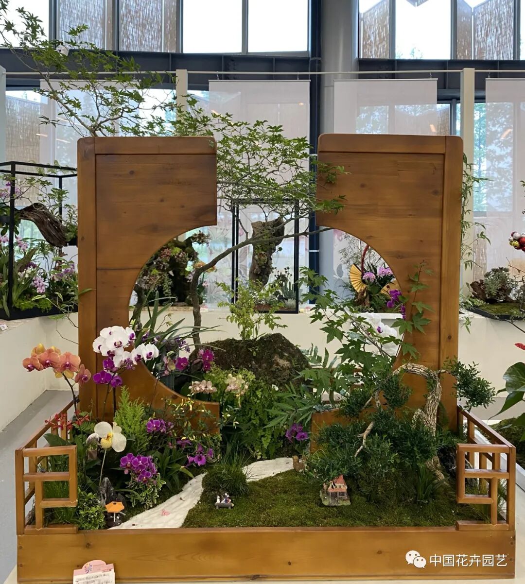 第十届花博会 | 花开盛世 福泽华夏——盆栽花卉专题展