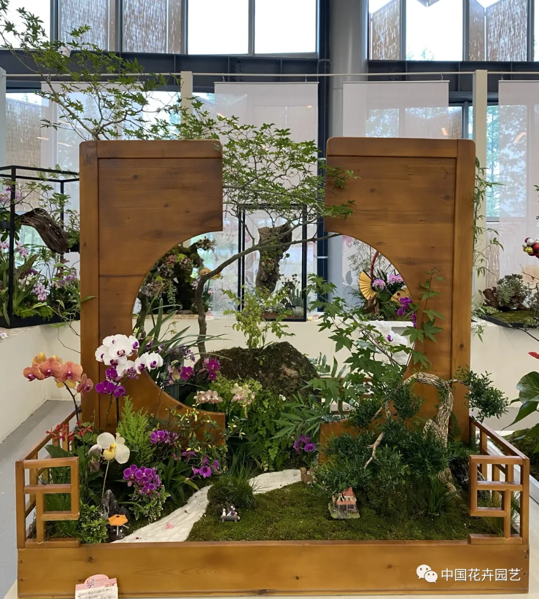 第十屆花博會 | 花開盛世 福澤華夏——盆栽花卉專題展 第十屆花博會 | 花開盛世 福澤華夏——盆栽花卉專題展