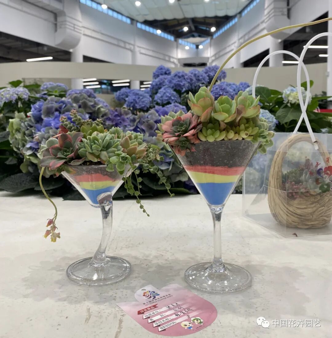 第十届花博会 | 花开盛世 福泽华夏——盆栽花卉专题展